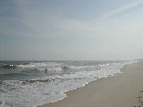 DSCN1080.JPG