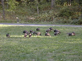 DSCN0472.JPG