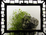 DSCN1654.JPG