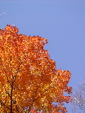DSCN1658.JPG