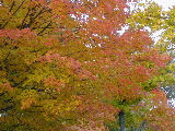 DSCN0564.JPG