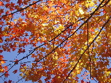 DSCN1660.JPG
