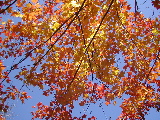 DSCN1661.JPG