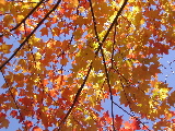 DSCN1662.JPG