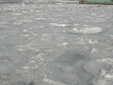 DSCN1743.JPG
