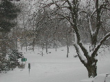 DSCN0589.JPG