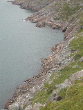 DSCN1271.jpg