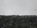 DSCN1273.jpg