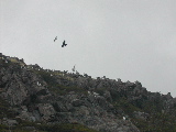 DSCN1274.jpg