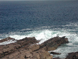DSCN1282.jpg