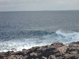 DSCN1284.jpg