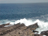 DSCN1285.jpg