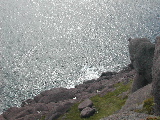 DSCN1294.jpg