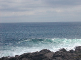 DSCN1299.jpg