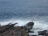 DSCN1301.jpg