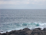DSCN1304.jpg