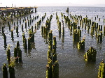 DSCN0658.jpg