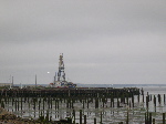 DSCN0571.jpg