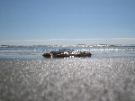 DSCN0722.jpg