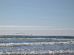 DSCN0726.jpg