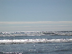 DSCN0728.jpg