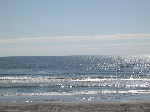 DSCN0735.jpg