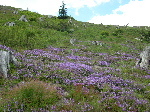 DSCN0769.jpg