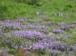DSCN0770.jpg