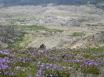 DSCN0772.jpg