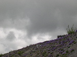 DSCN0777.jpg