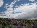 DSCN0789.jpg
