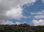 DSCN0790.jpg