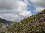 DSCN0791.jpg