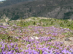 DSCN0792.jpg