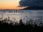 DSCN0802.jpg