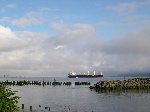 DSCN0810.JPG