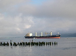 DSCN0811.JPG