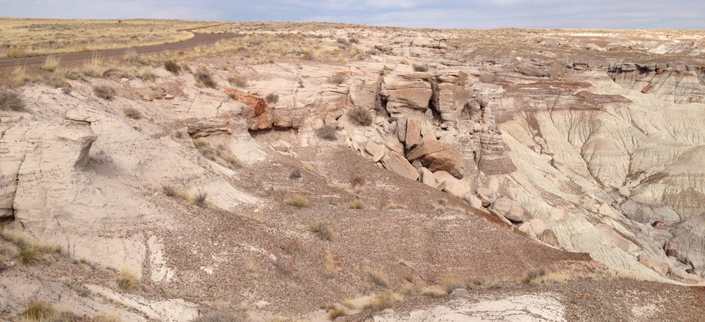 Sonsela at blue mesa