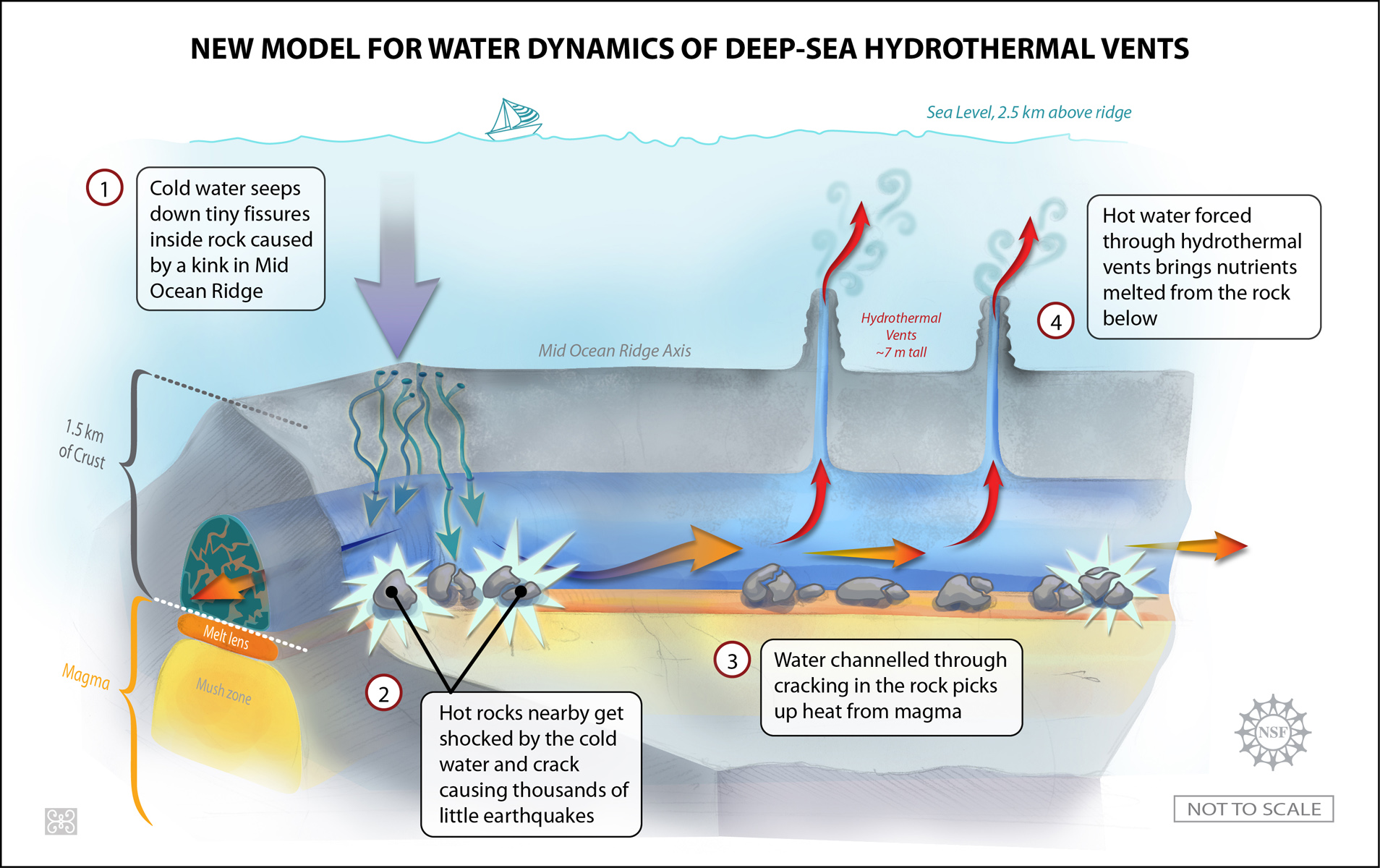 An analysis of the hydrothermal vents in the ocean floor