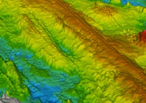 Ridges formed by volcanism near the East Pacific Rise. (Haymon et al., NOAA-OE, WHOI)
