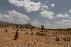 Studies show drying in the Horn of Africa is in step with global warming. (Brian Kahn/IRI)