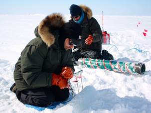 Fieldwork in the Arctic