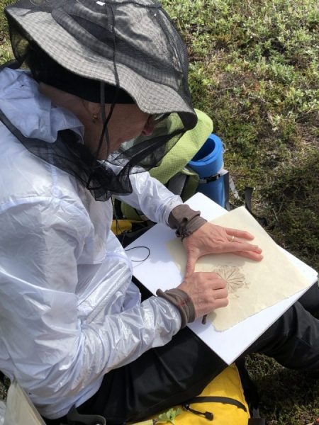 Artist Anna McKee Joins Team for Arctic Field Season