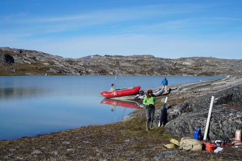 Collecting cores with the pontoon