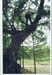 photoD