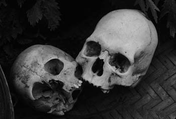 Face2Face