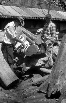IndoCutPile