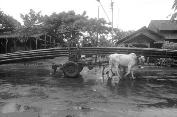 OxCart