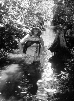 ThroughTheSwamp