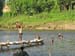 GravelFromSoloRiver